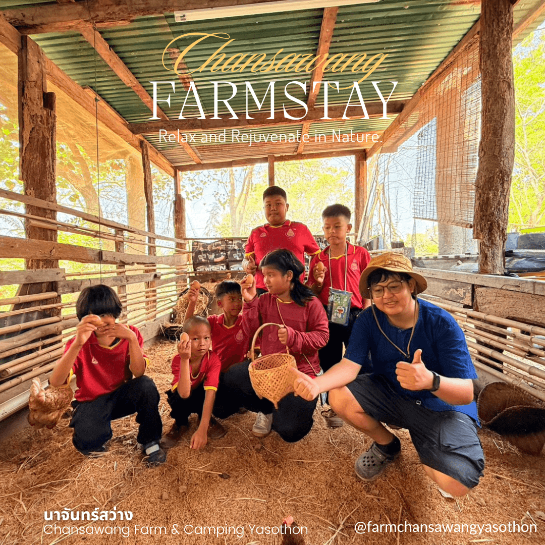 ให้อาหารไก่ + เก็บไข่