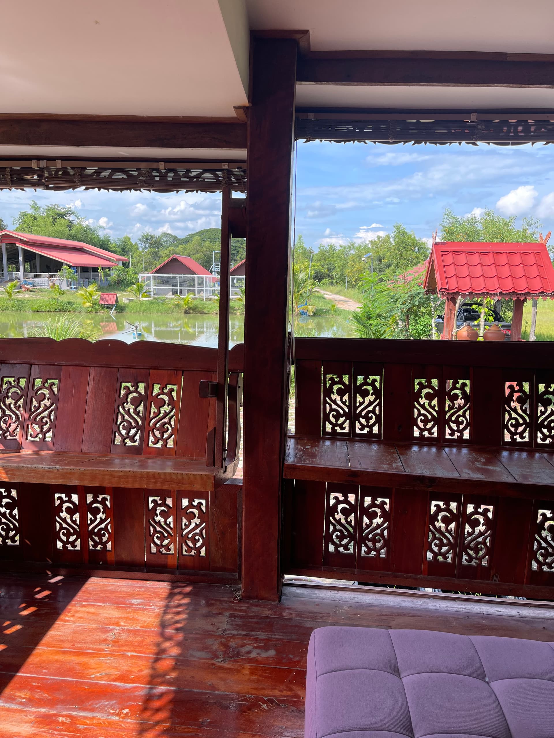 วิวสระนำ้